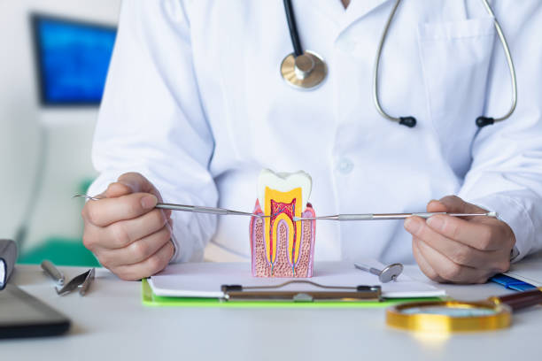Best Emergency Dentist for Knocked-Out Tooth in Geneva, WA